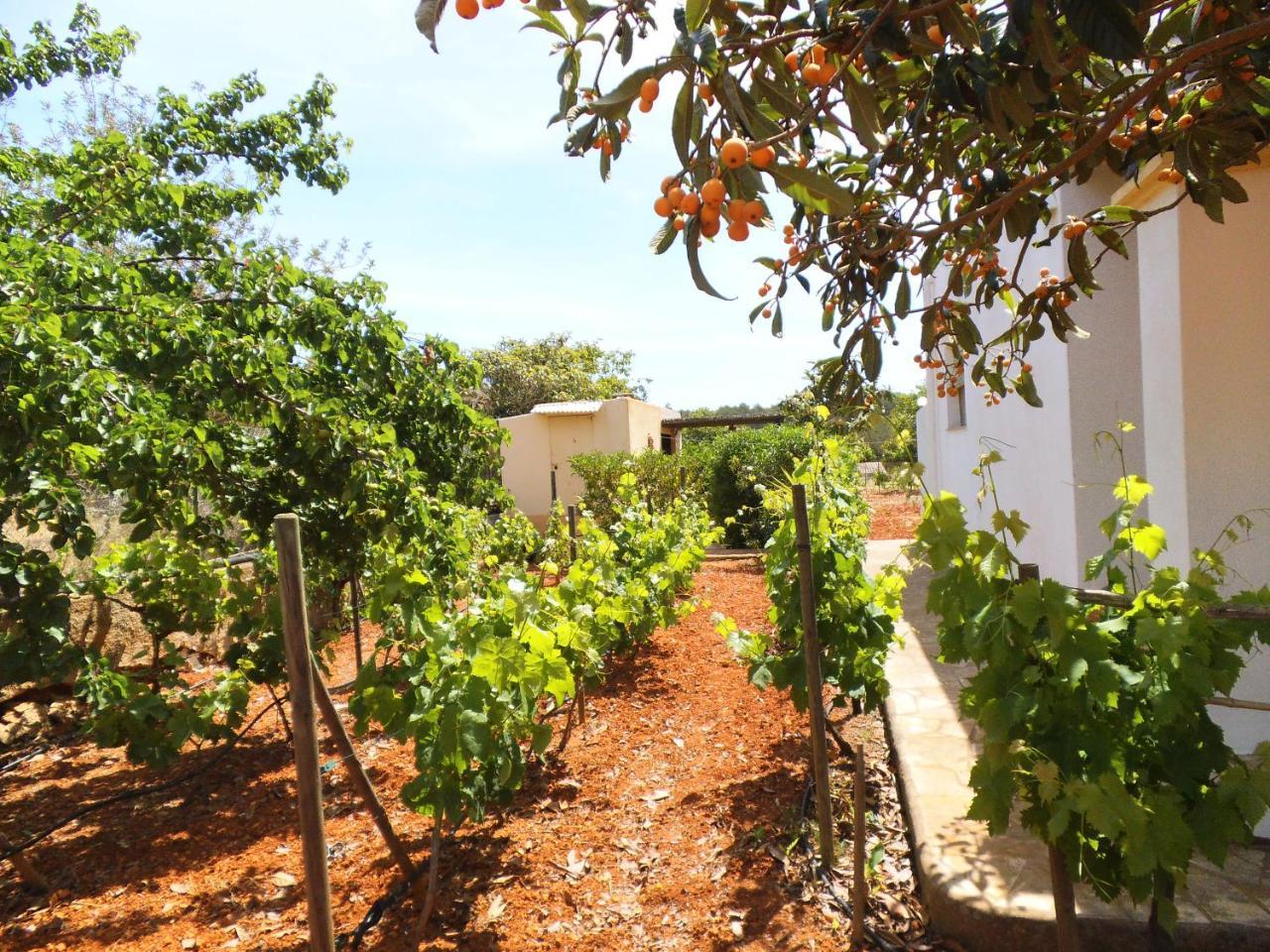 Villa Can Turrent Sant Carles de Peralta Exterior photo